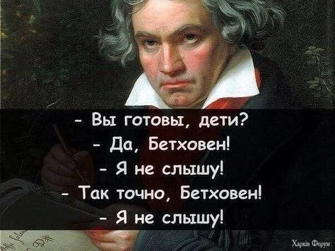1772065992974.webp