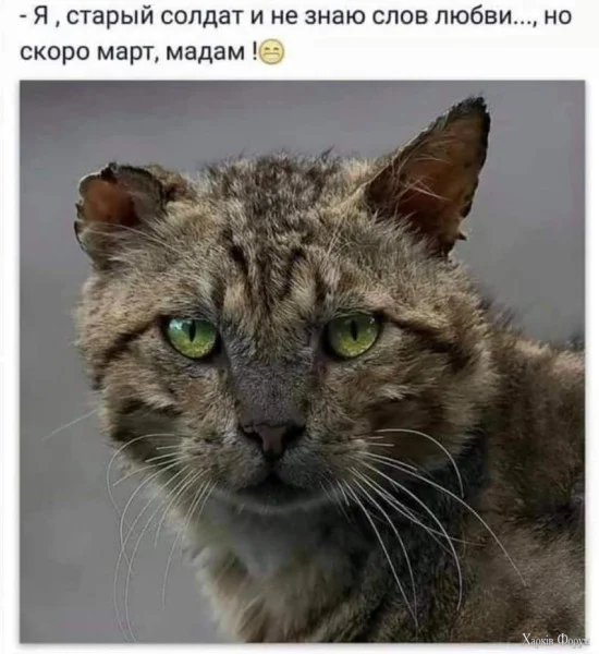 1772410998270.webp