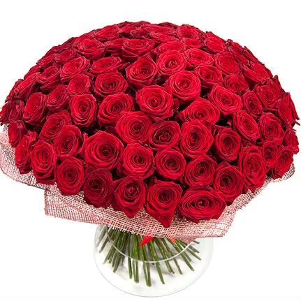 17730666.abmifkb64t.webp