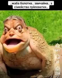 1774209312636.webp