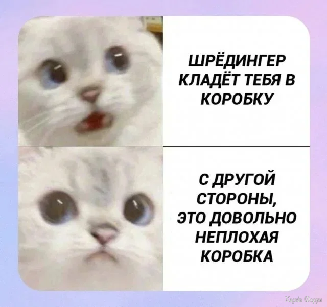 1776583452424.webp