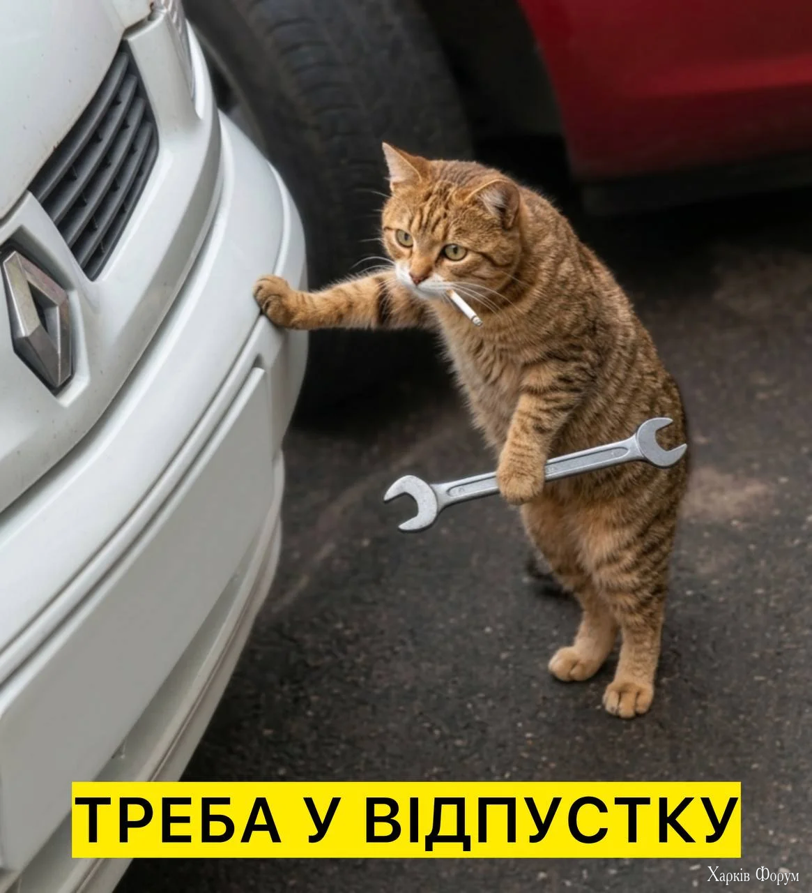 1777470903969.webp