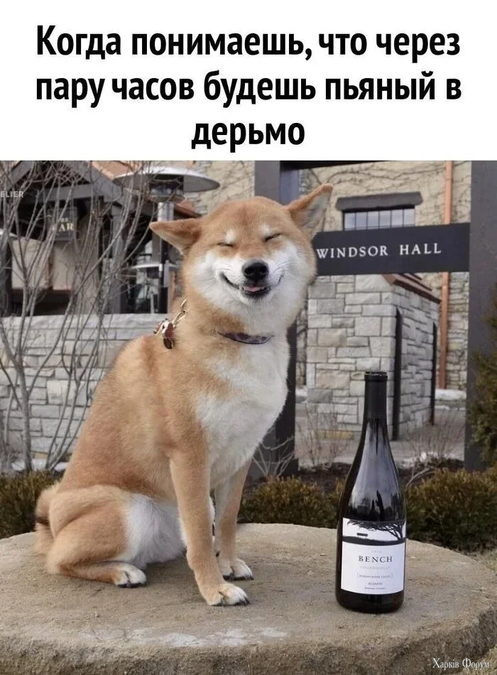 1777571173563.webp