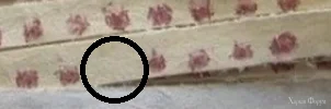 1777577641070.webp