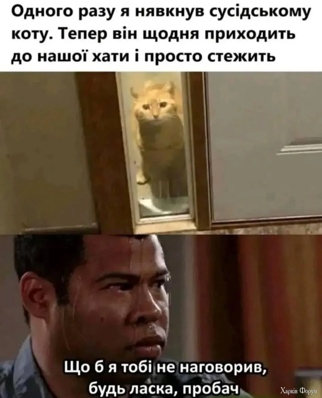 1777804747797.webp