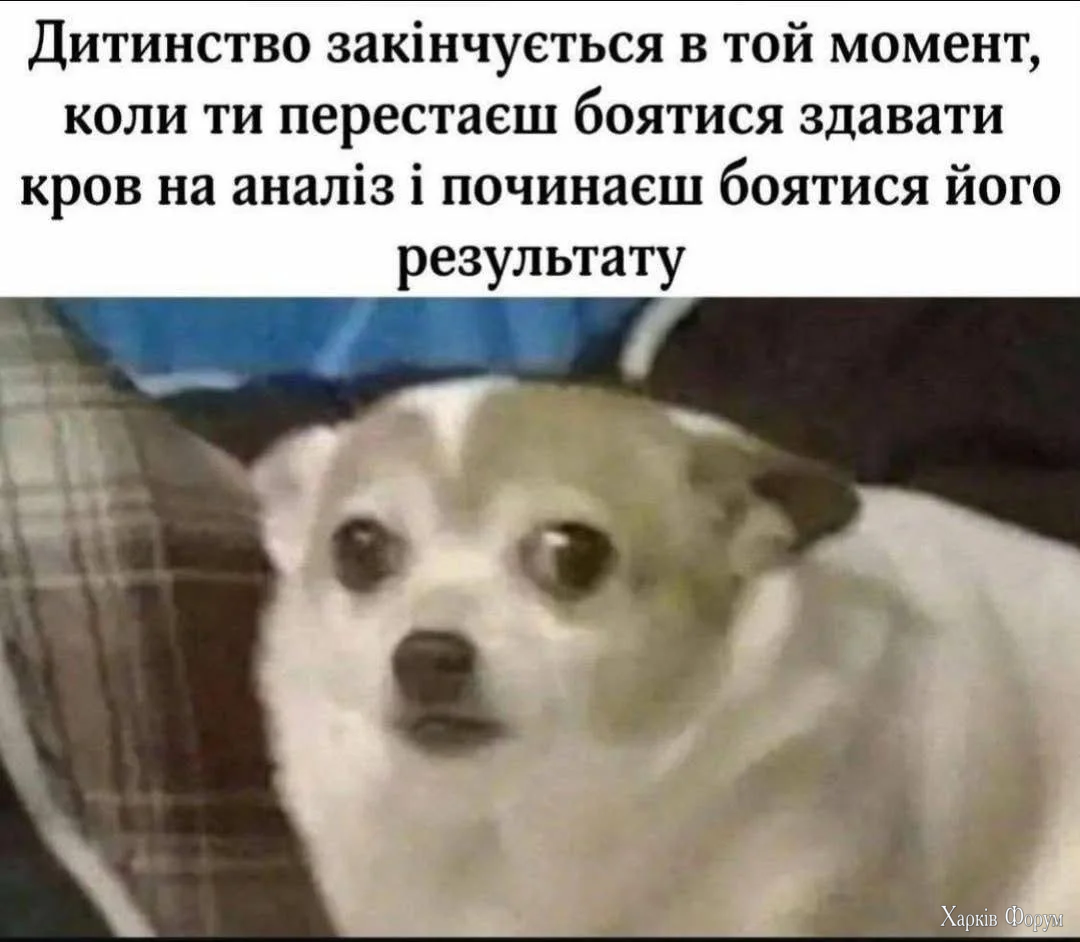 1777822046791.webp