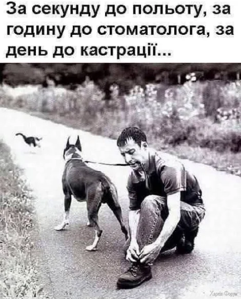 1777841116261.webp