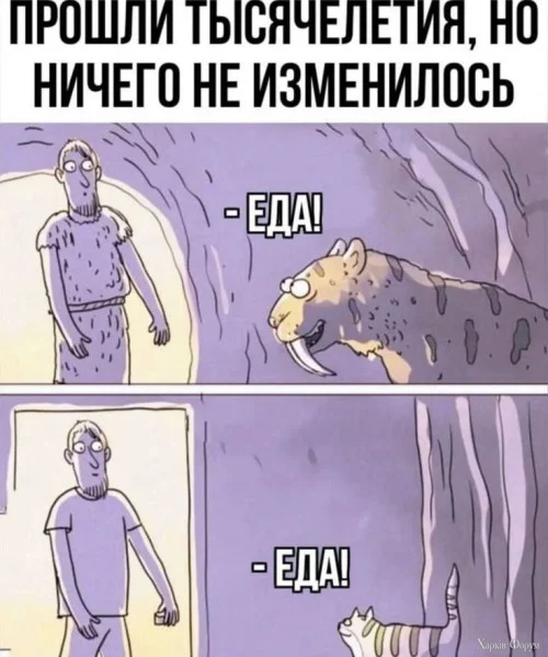 1777929775045.webp