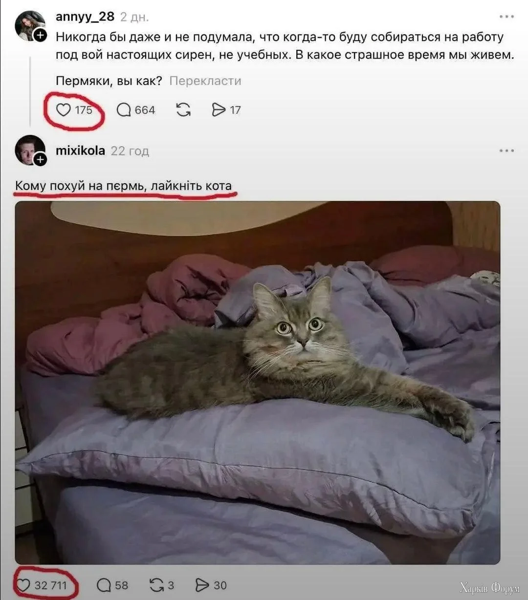 1777993864549.webp