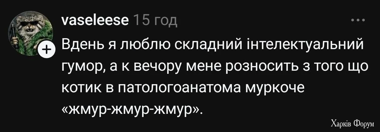 1778084924779.webp