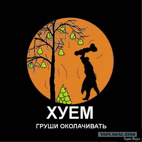 1778101311336.webp