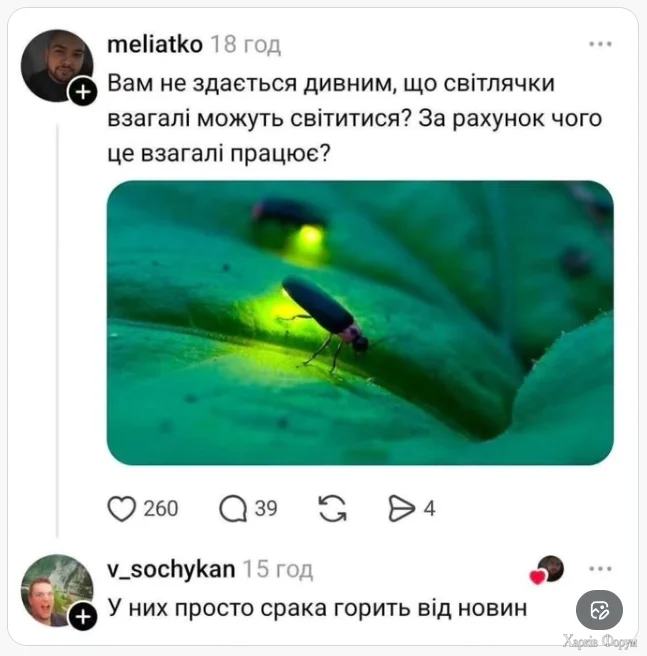1778104094645.webp