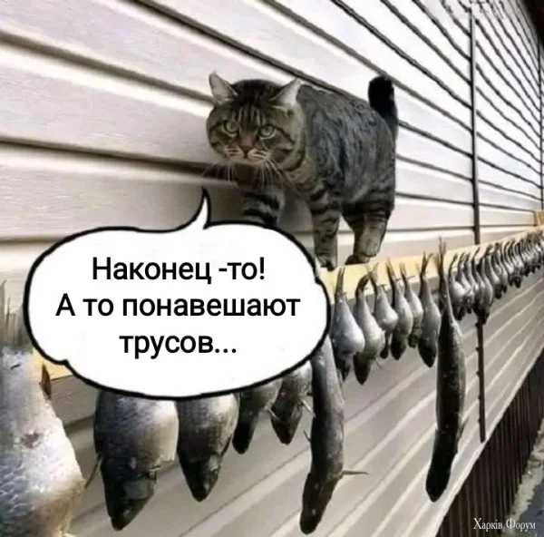 1778187597541.webp