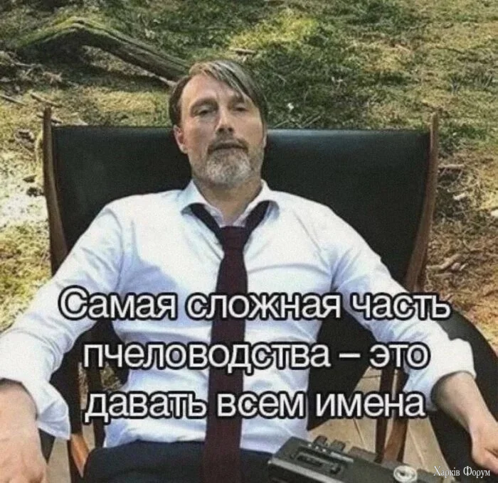 1778349543970.webp