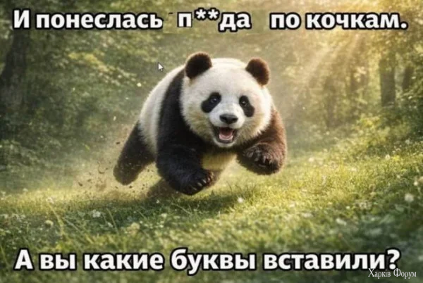 1778456853037.webp