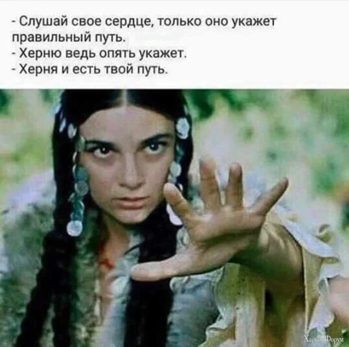1778521018828.webp