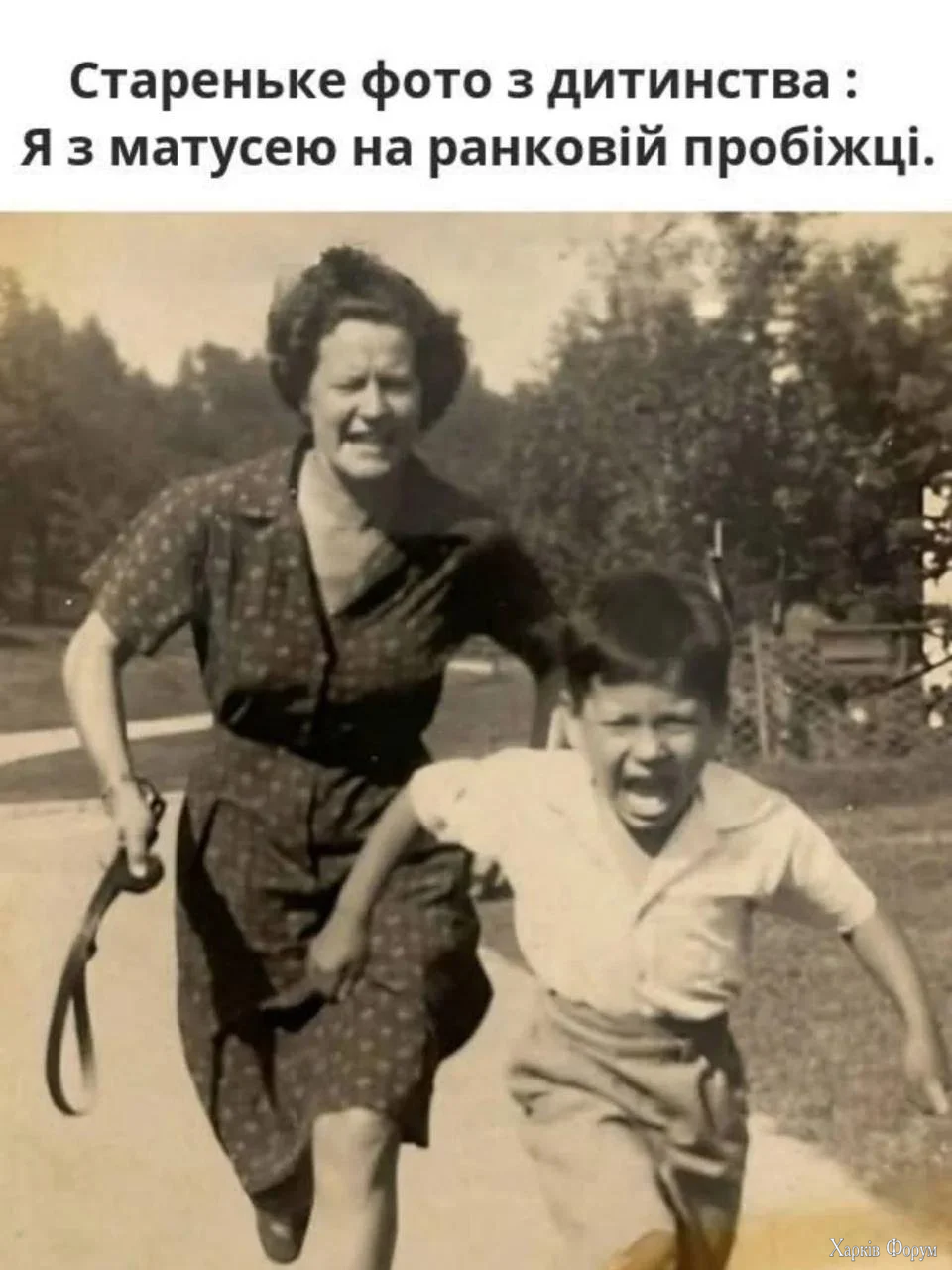 1778589050595.webp