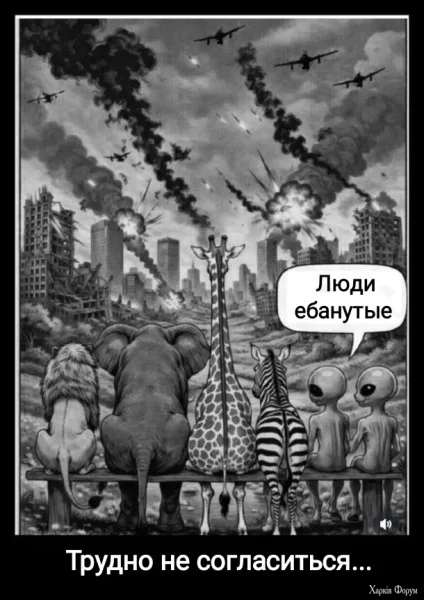 1778704029778.webp