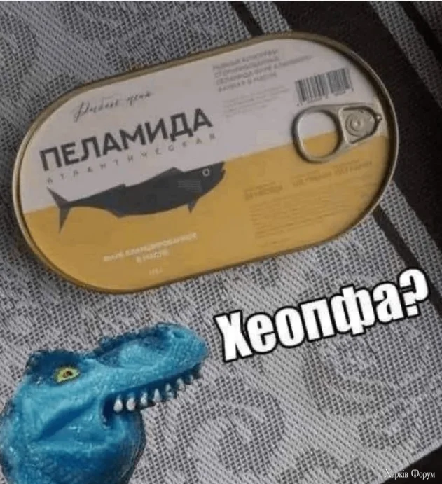 1778806911001.webp