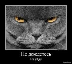 1778872478683.webp