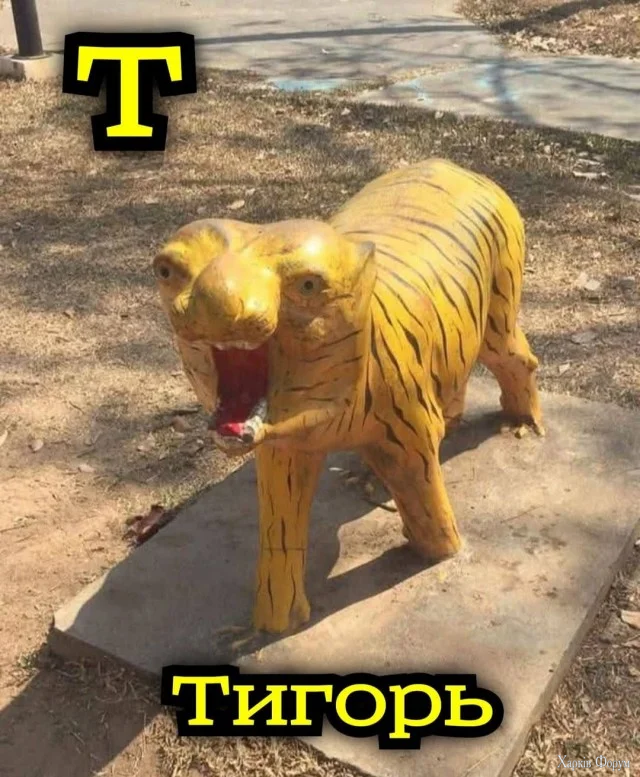 1778883836922.webp
