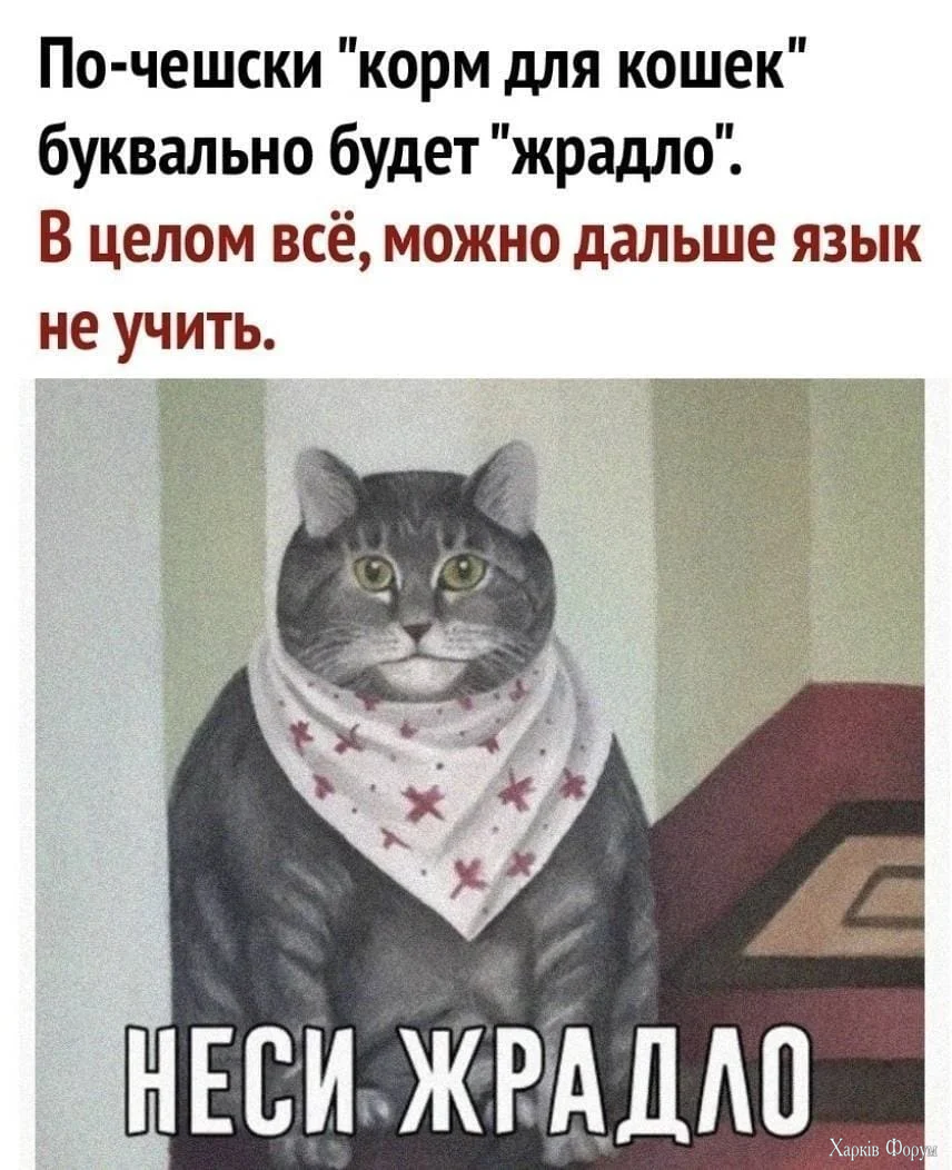 1778966809699.webp