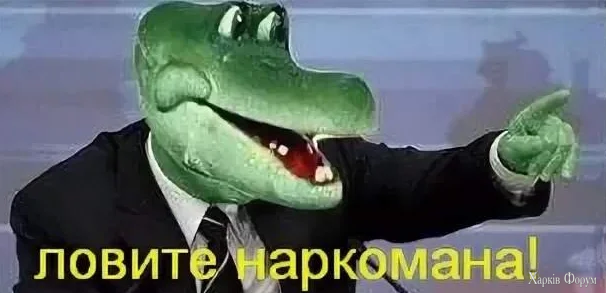 1779042199015.webp