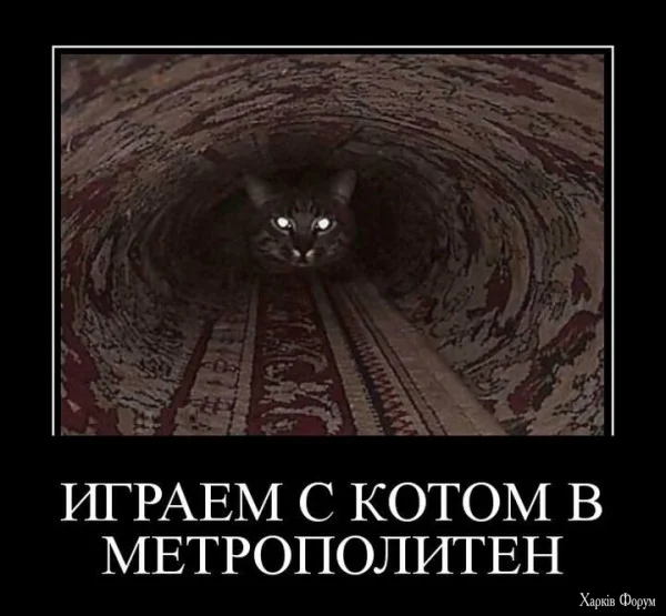 1779058938521.webp