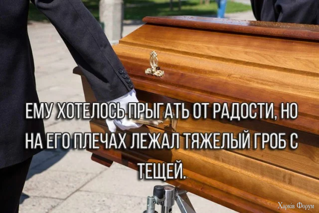 1779192741671.webp