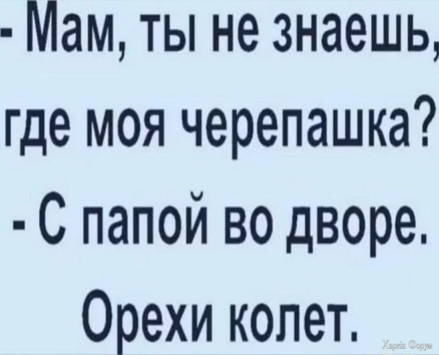 1779274864373.webp