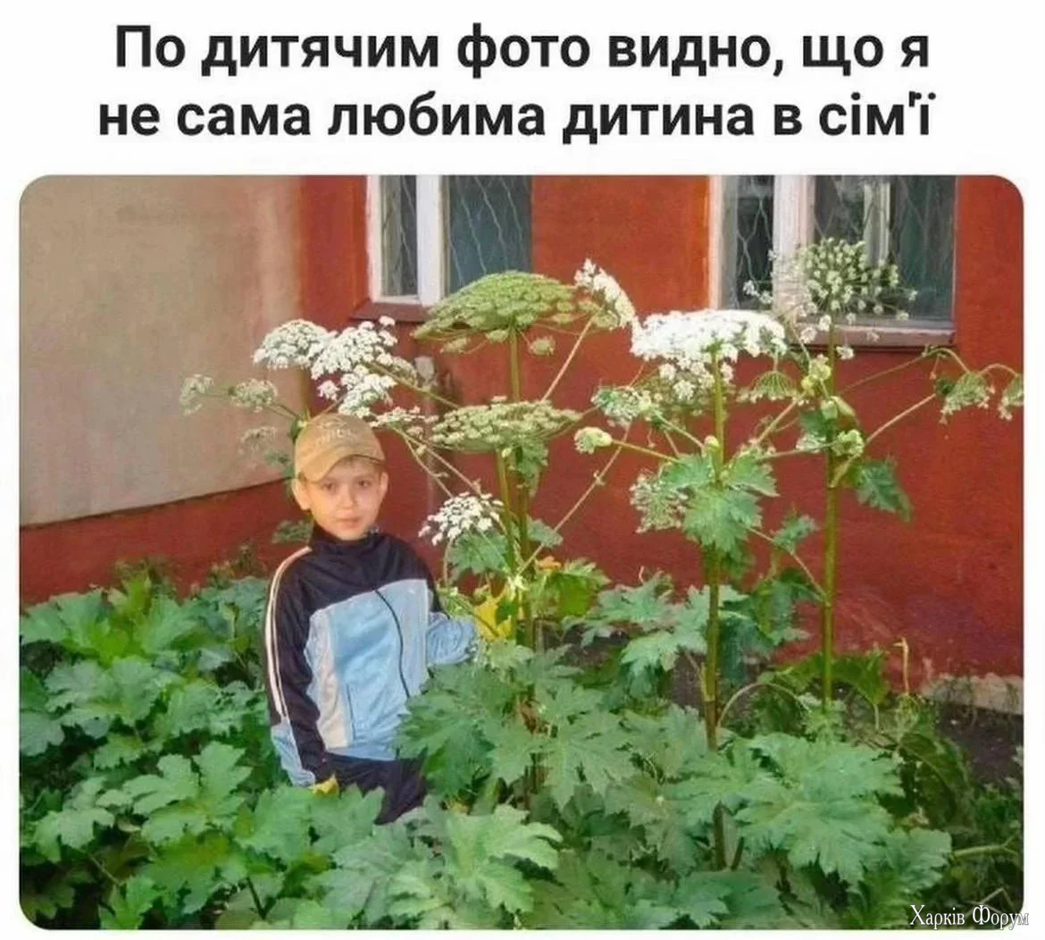 1779282799229.webp