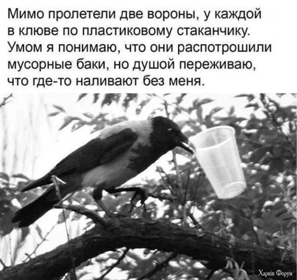 1779401218131.webp