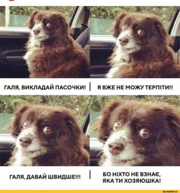 17794744550e297ff6cb52b076436f4c.webp