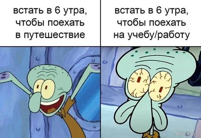 1779681484184.webp