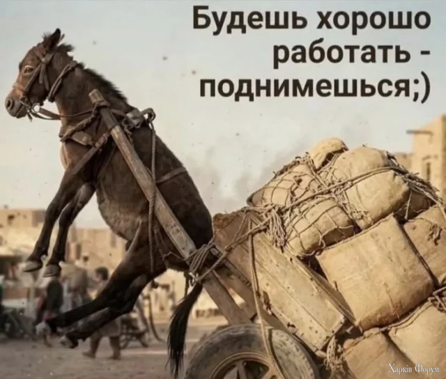 1779723702455.webp