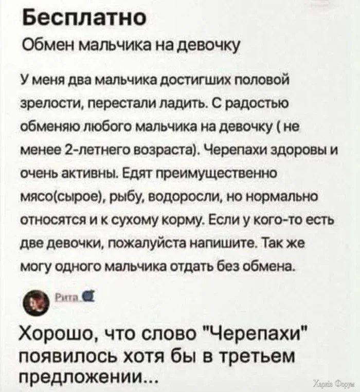 1779770522039.webp