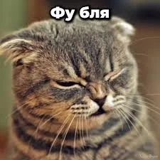 1779798433371.webp