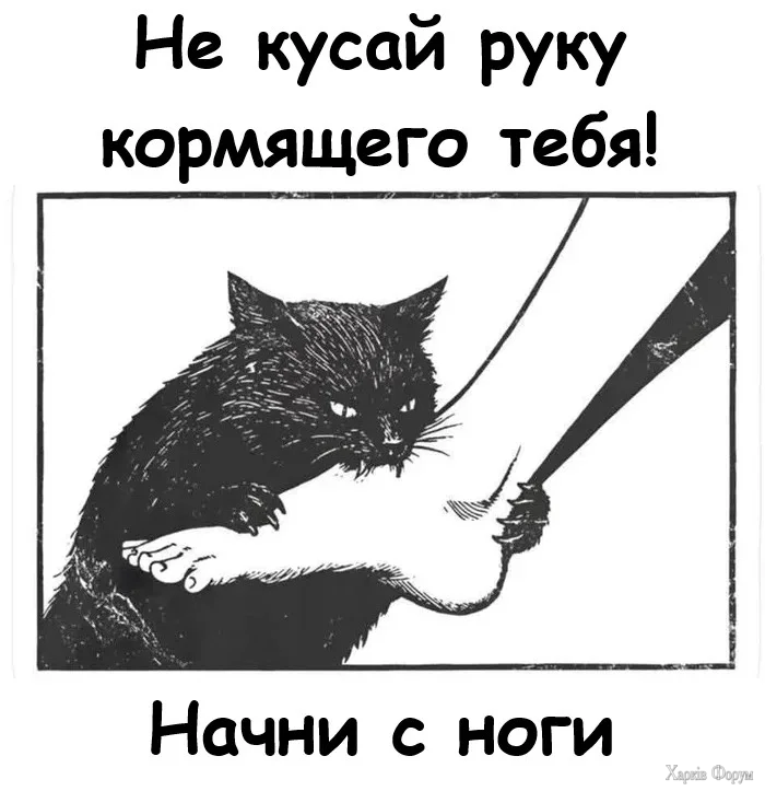 1779815592625.webp