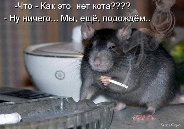 1779960128711.webp