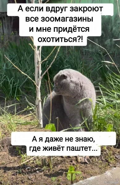 1780006087776.webp