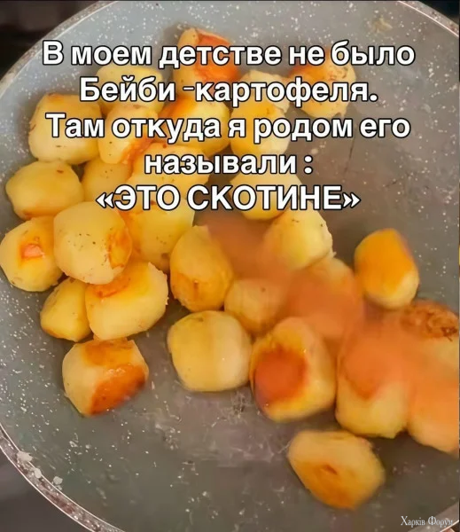 1780006729682.webp