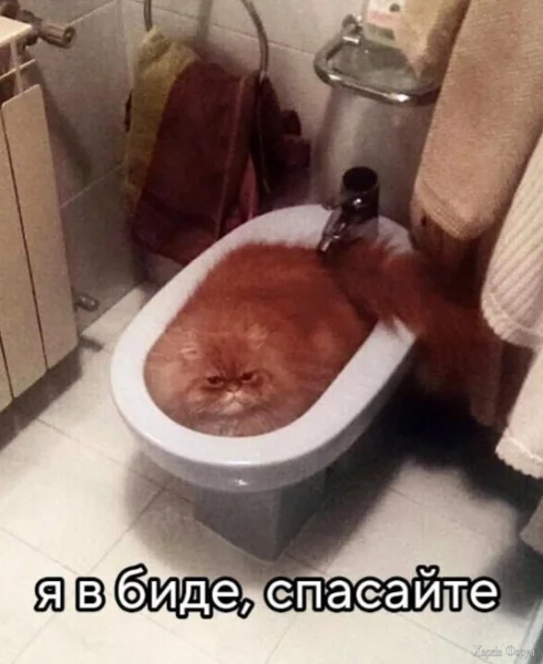 1780008374320.webp