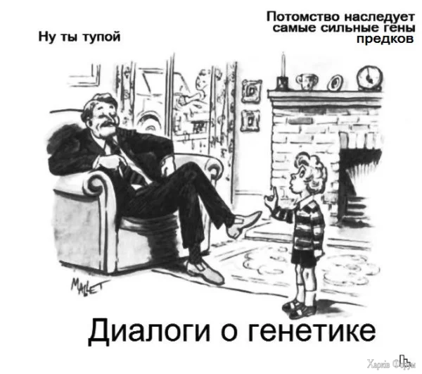 1780009839811.webp