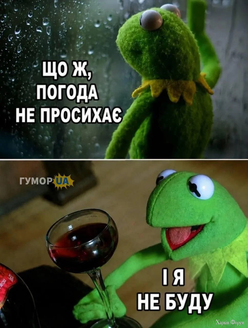 1780069475311.webp