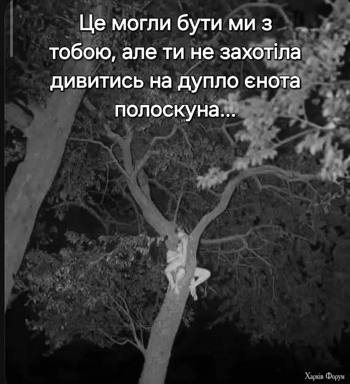 1780139467864.webp