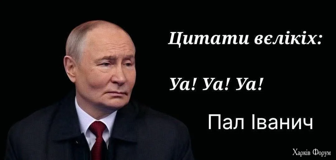 1780169465076.webp
