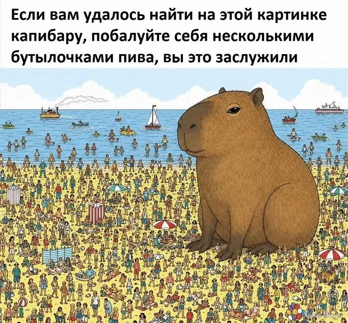 1780296903092.webp