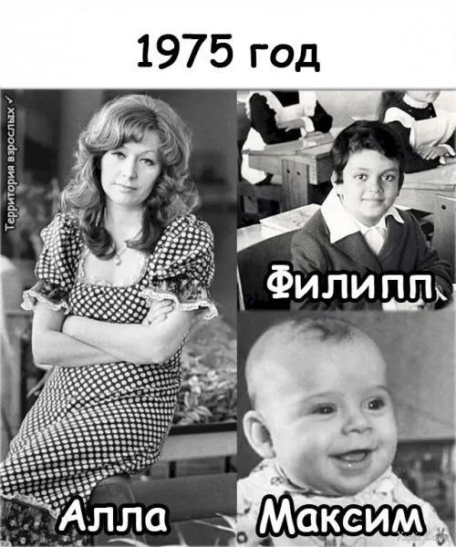 1780359237760.webp