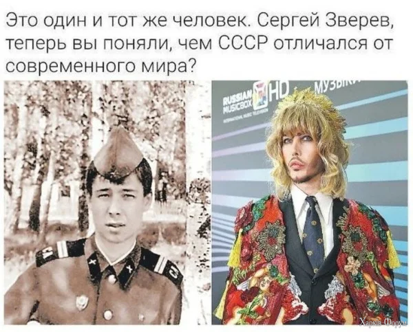 1780359297554.webp