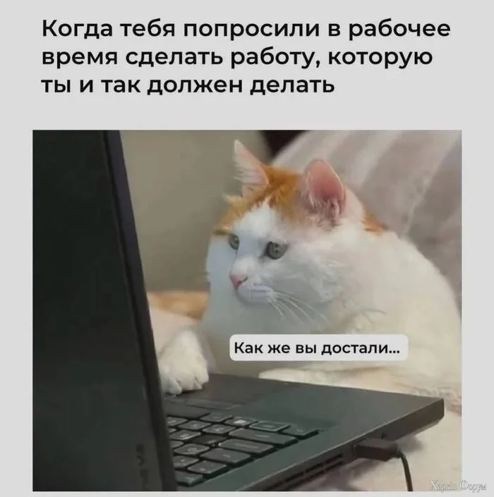 1780741626968.webp